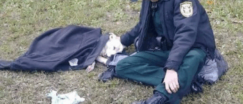 “A Florida Deputy’s Small Act of Kindness That Touched the World”.2544