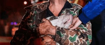 Through Smoke and Silence: Mario’s Fight to Save His Dog.2575