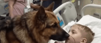 Boy Shares a Tender Hug with His Dog Before Surgery — The Outcome Surprised All