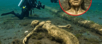 BREAKING NEWS: Divers Discover Mummified Mermaid Deep Underwater! A team of divers has reportedly found a preserved mermaid-like figure deep beneath the ocean, sparking global curiosity and debate over its authenticity.