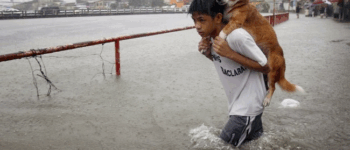 “Ethan and the Storm: The Boy Who Saved a Forgotten Life”