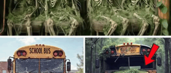 The Children the Forest Kept — Smoky Mountains’ Darkest Secret Unearthed